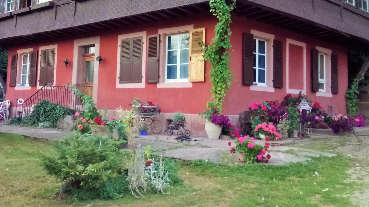 Gite "Cadichon" Мюнстер Екстериор снимка